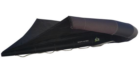 Wave Chaser Delta Wing Side