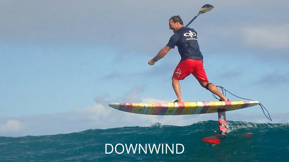 gofoil.com 1a21 downwind large